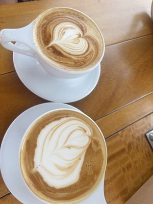   at Lofty Coffee  in Encinitas