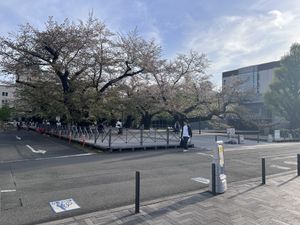 View   at Seattle Express Cafe - Tokyo Institute of Technology  in Tokyo