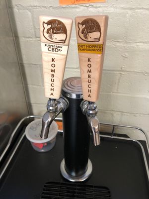 Great local kombucha on tap! at Shine Cafe in Morro Bay