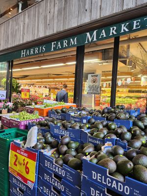Entry downstairs at Harris Farm Markets Bondi Beach in Bondi Beach