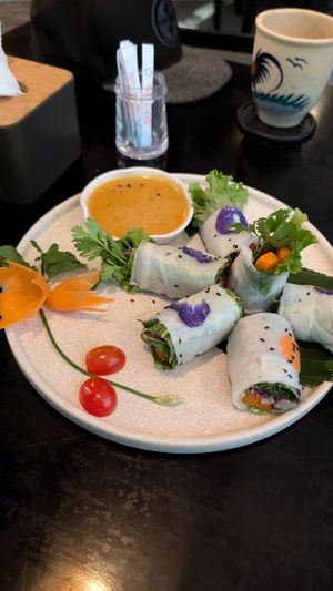 spring rolls at Tĩnh Garden Vegetarian in Hue