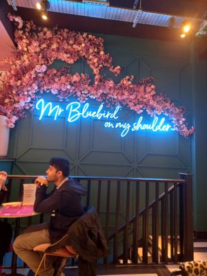 Inside Cafe. at Flower Cafe Ncl in Newcastle Upon Tyne