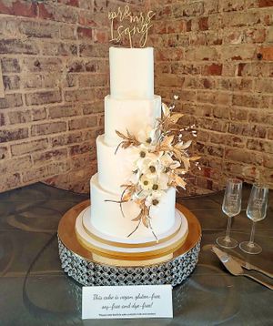  at The Better Bakery in Chattanooga