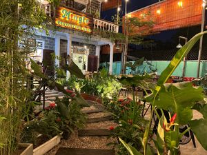 Evening Feel at Mingle Cafe in Hue