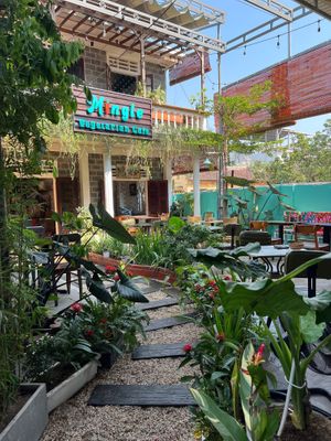 Front Garden  at Mingle Cafe in Hue