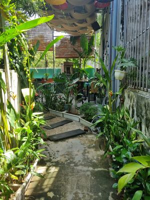  at Mingle Cafe in Hue