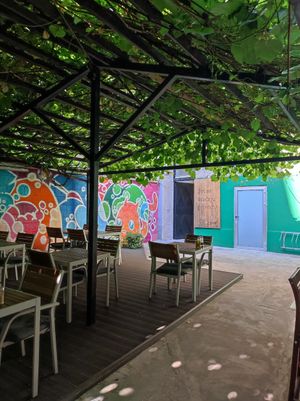 Garden at Zrno Bio Bistro in Zagreb