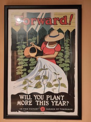  at Zrno Bio Bistro in Zagreb