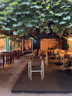   at Zrno Bio Bistro in Zagreb