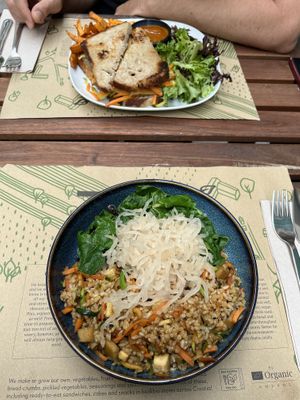 sandwich and rice bowl  at Zrno Bio Bistro in Zagreb