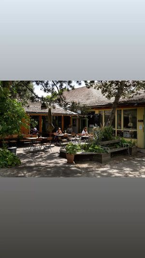  at Café Schillwasser in Vienna