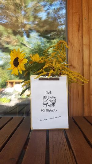  at Café Schillwasser in Vienna