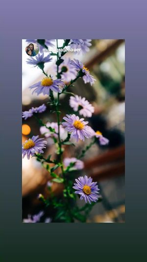  at Café Schillwasser in Vienna