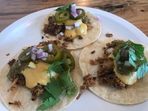 Jack fruit carnitas  at Lulu's Local Eatery in St Louis