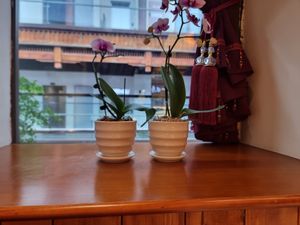  at One Leaf, One World 一叶一世界 - WenShu 文殊坊 in Chengdu