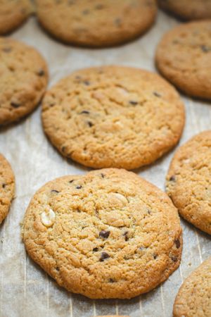 Cookies pépites - cacahuètes at Dynamite - Pre Order Only in Toulouse