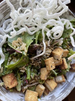  Asian Salad with Tofu  at Walt Disney World - Geyser Point in Lake Buena Vista
