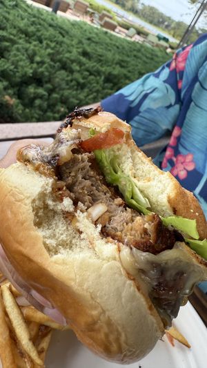   at Walt Disney World - Geyser Point in Lake Buena Vista