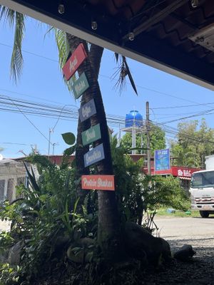   at Blue Berry in Puerto Viejo De Talamanca