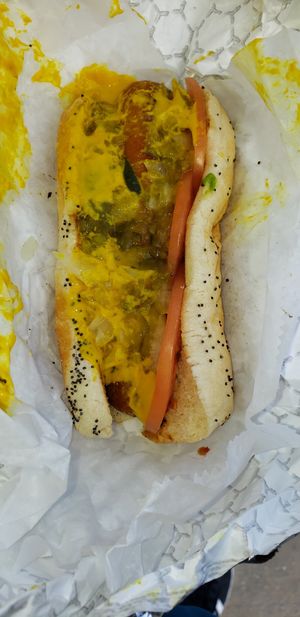 Chicago dog at Liberation Kitchen in Chicago