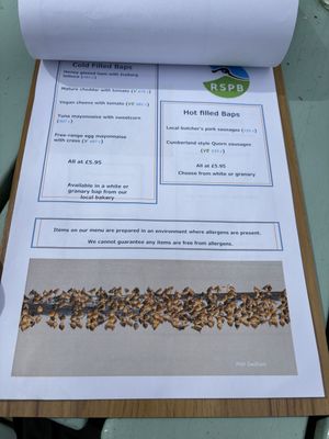 Menu with VE options   at RSPB Titchwell Marsh in Kings Lynn