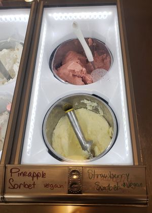 Vegan gelato at Sweet Magnolia Gelato  in Memphis