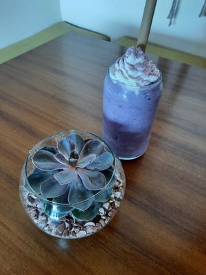  at Da Bohie in Bucerias