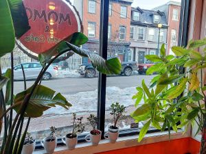  at Momo & Sushi Cafe in West Chester