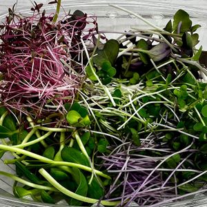 San Juan Sunset blend.  at Twin Leaf Farm - Office in Bellingham