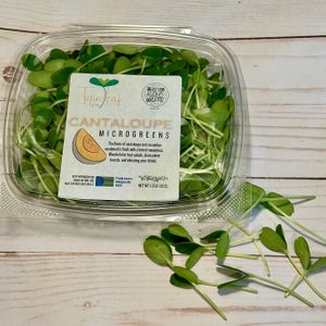 Micro cantaloupe.  at Twin Leaf Farm - Office in Bellingham