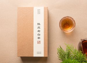 陈皮老白茶 White Tea with Preserved Flavedo   at Ru Pure Vegan - 博华广场店 in Shanghai