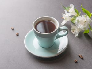 现磨手冲咖啡 Pour- over coffee   at Ru Pure Vegan - 博华广场店 in Shanghai