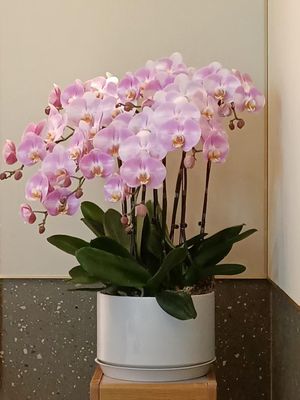   at Ru Pure Vegan - 博华广场店 in Shanghai
