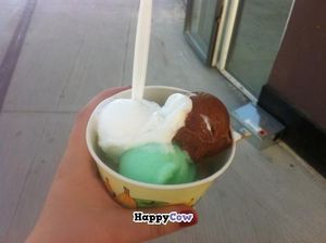 Chocolate, Elderflower and Mojito Sorbet (vegan) at Isobar in Copenhagen