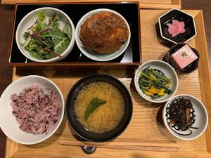 Great vegan flavors in Tokyo! at Komaki Shokudo in Tokyo