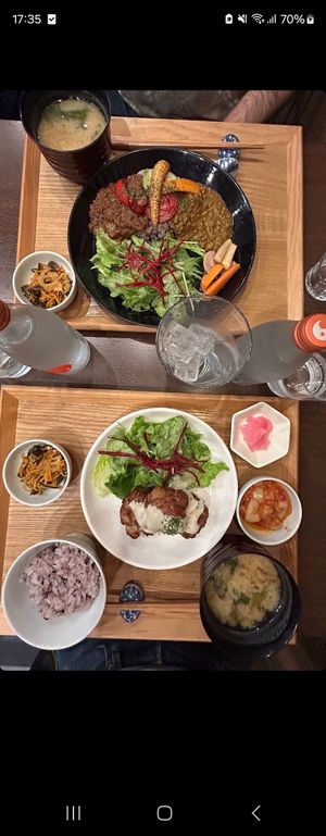 Curry and Soymeat Karaage at Komaki Shokudo in Tokyo