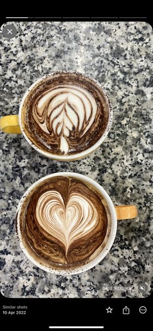 Cappuccino oat milk  at La Nevateria in Girona