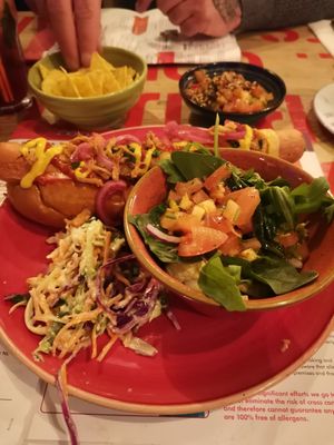 Vegan hotdog at Lounges - Portivo Lounge in Gloucester
