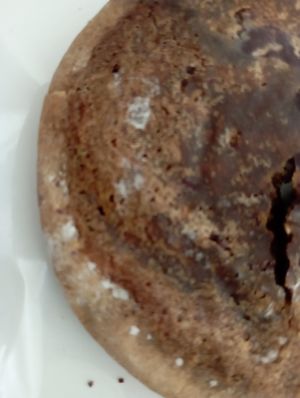 Cookie at Vegedal in Amiens