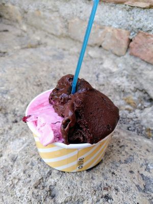 Pomegranate/Dark Chocolate Sorbet (vegan) at Heladeria Tutto Gelato II in Granada