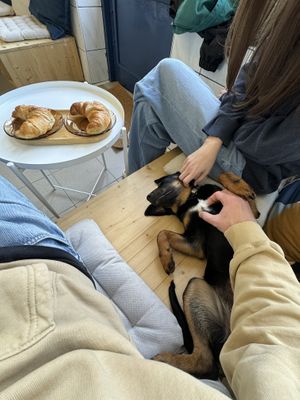   at Piccola Cafe in Ljubljana