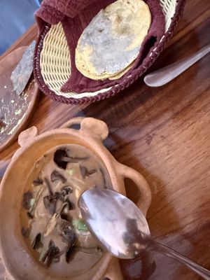 Mushroom mole with fresh tortillas   at Levadura De Olla in Oaxaca