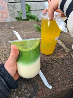 Matcha & Mango at Tokas Bubble Tea in Hamburg