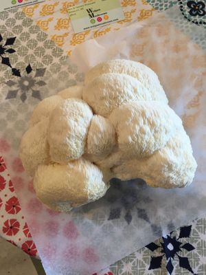 Lions main at Shimmy Shack in Plymouth