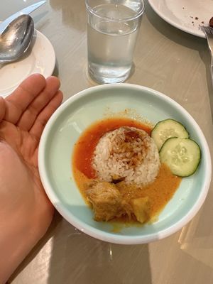 Mini portion so I had 2 portion of chicken rice but this time I only asked for the rice so I can have it with curry vegan mutton.   at Lotus at Berjaya 莲心 in Kuala Lumpur