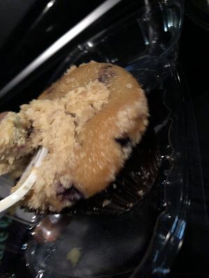 
Blueberry muffin   at Loving Hut in Brooklyn