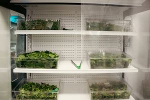  at Will & Well Salads in Durham