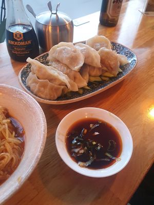 Vegan dumplings/gyoza at Åsö Noodles in Stockholm