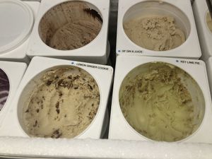 Some vegan flavors  at Cookman Creamery in Asbury Park