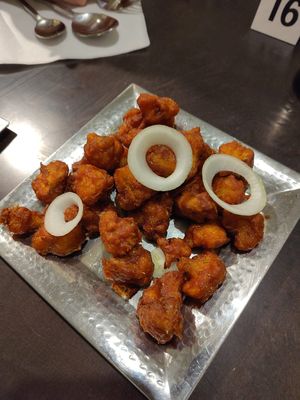 gobi 65  at Annavilaas - Utrecht in Utrecht